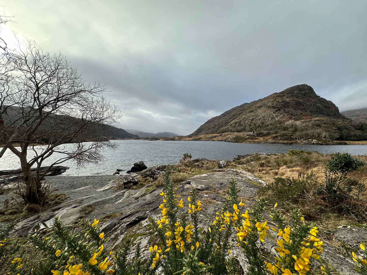 Ring of kerry Tour                           for up to 4 people around 7 hours trip.   For Booking and availability Whatsapp or Email at 00353851748075 taxidingle@gmail.com €499 full price